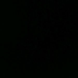 Meet your Posher, Lamare